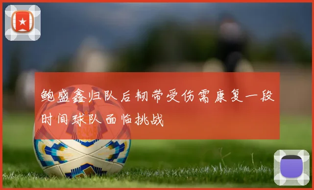 鲍盛鑫归队后韧带受伤需康复一段时间球队面临挑战